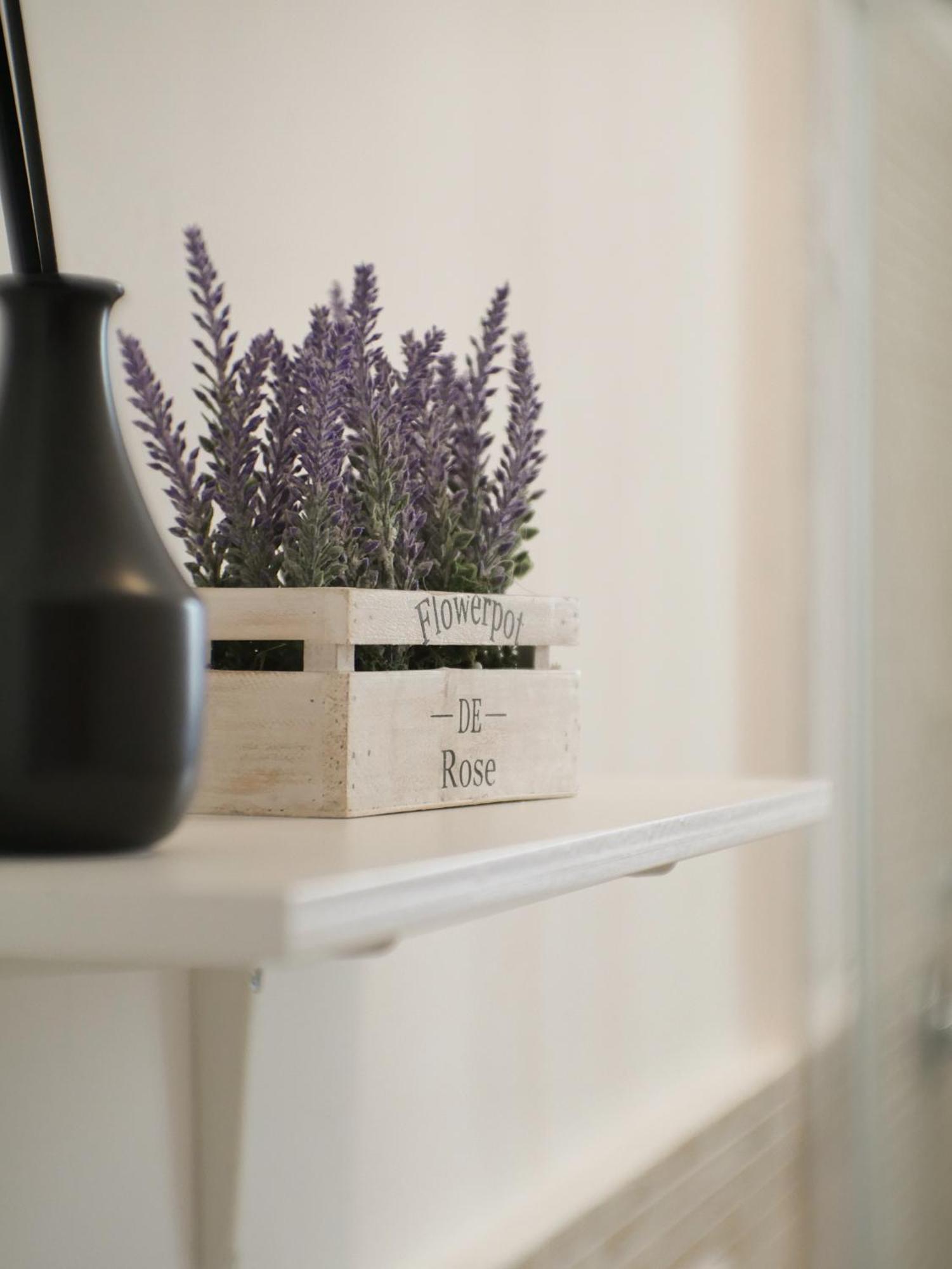 רומא Modern 1 Bedroom Near Metro מראה חיצוני תמונה